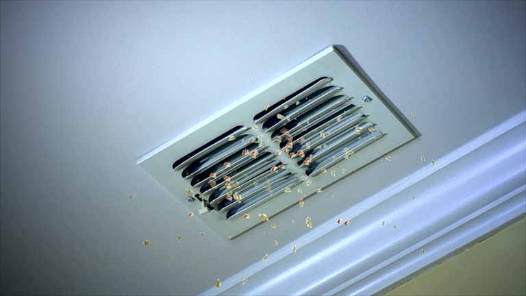 Best Professional Duct Cleaning Services  in Shannon Hills, AR