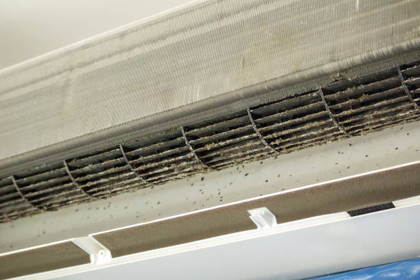 Best Commercial Air Duct Cleaning  in Shannon Hills, AR