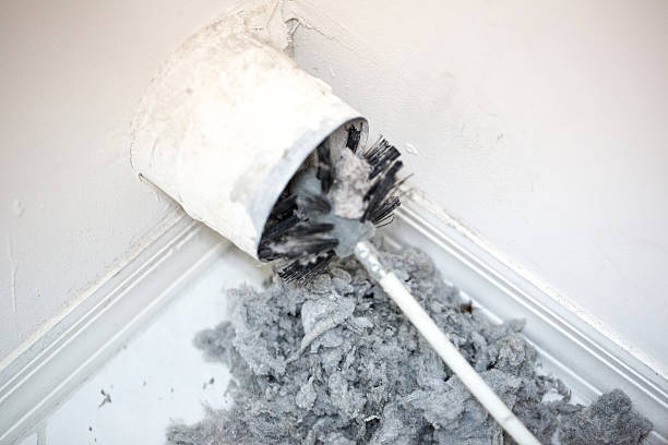 Air Duct Mold Removal in AR
